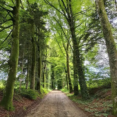 Domaine Florel Ger (Manche)